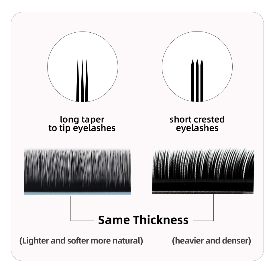 AGUUD J B C D Curl Volume Lash - Eyelash Extension Korea Natural ulasan dan harga